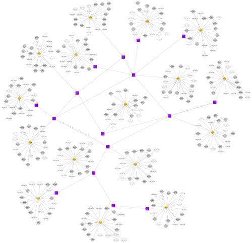 Topology for run377